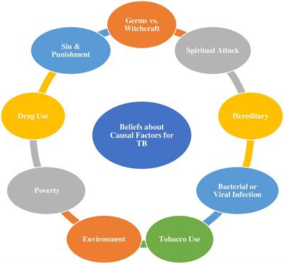 Insights, beliefs, and myths surrounding tuberculosis among pulmonary patients with delayed healthcare access in a high-burden TB state in Nigeria – a qualitative inquiry